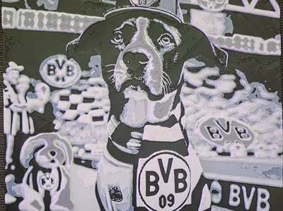 BvB Dog