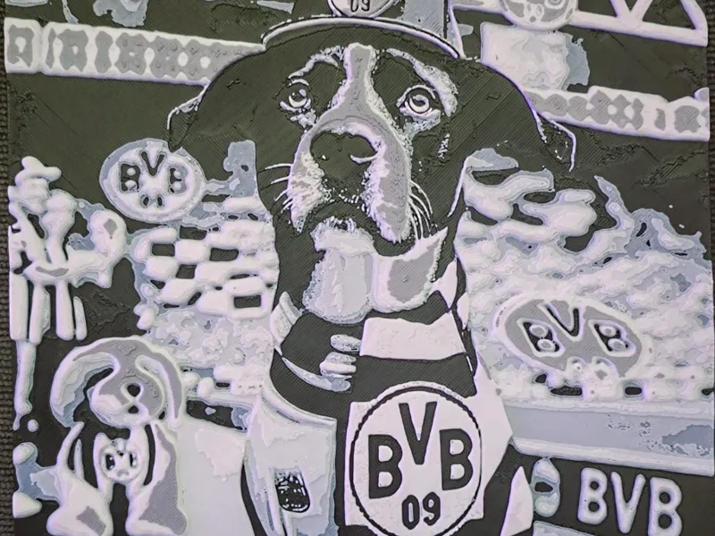 BvB Dog