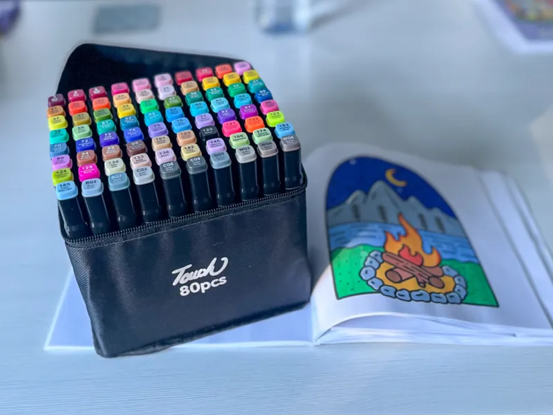 TikTok 80pcs Colouring Pen Divider