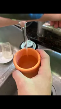 Tasse de Pythagore (tasse de l'avare) — photo 2