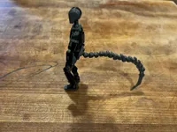 Queue Dummy 13 — photo 2