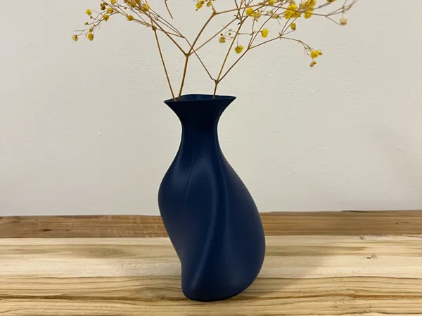 https://makerworld.bblmw.com/makerworld/model/US8d7bcd8cdd2e9/design/2025-01-03_6f2e48da6158e.jpg