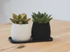 PLANTER