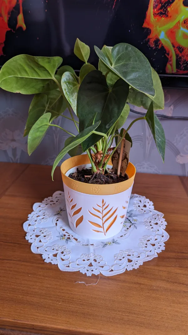 https://makerworld.bblmw.com/makerworld/model/US8d8d0ac9cb873e/design/2024-05-09_2e988caa12008.jpg