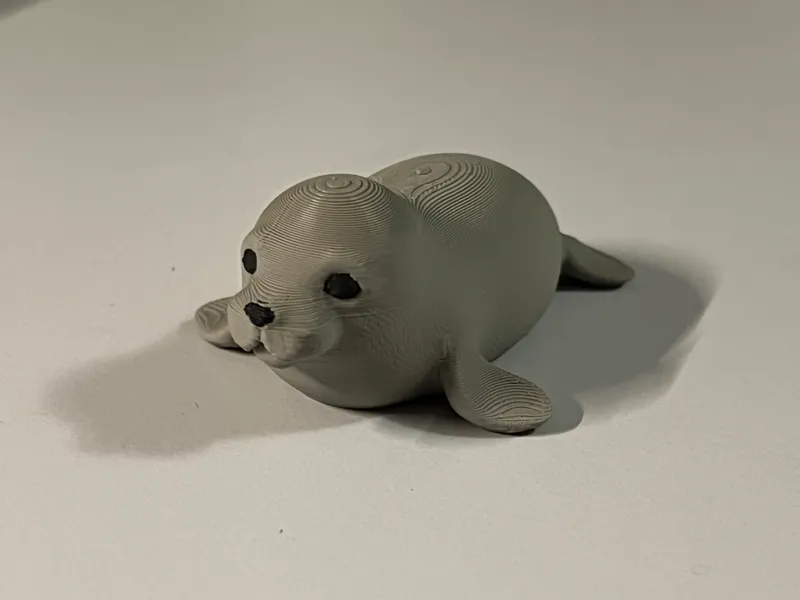 Cute little Seal Pup