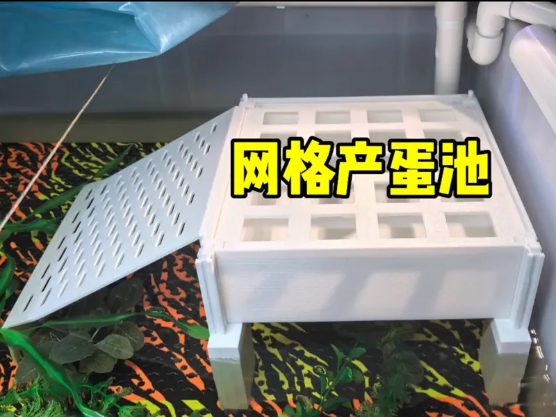 乌龟网格产蛋池