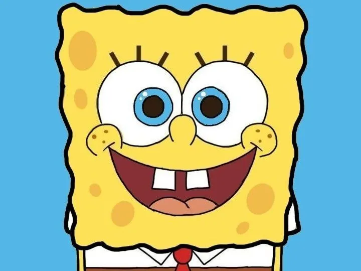 Bob The Sponge Flexi