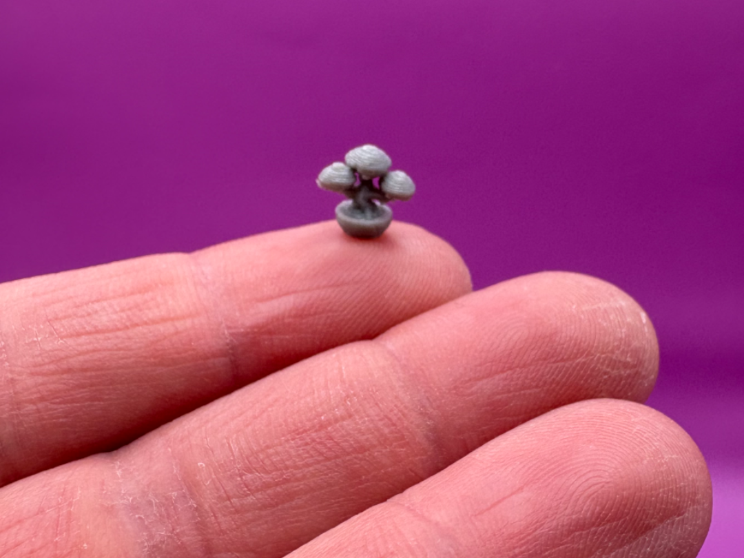 Worlds Smallest Bonsai Tree ( >.5 grams )