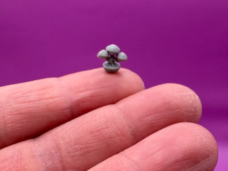 Worlds Smallest Bonsai Tree ( >.5 grams )