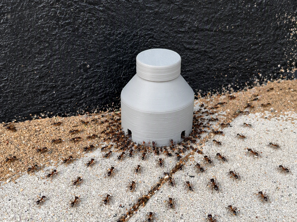 Ant trap - Pillet biats