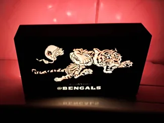 Bengals Lightbox