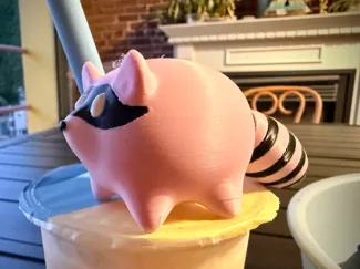 Fat Raccoon 