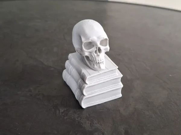 https://makerworld.bblmw.com/makerworld/model/US8da36d3a39da28/design/95350ed3d45d2a48.jpg