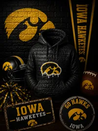 Iowa Hawkeyes Hoodie