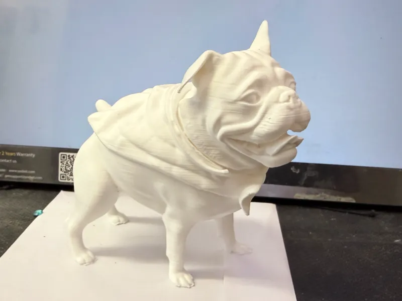 Peggy the Pug