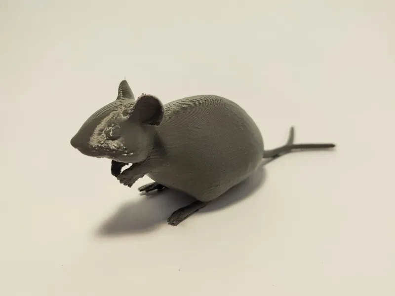 Mouse