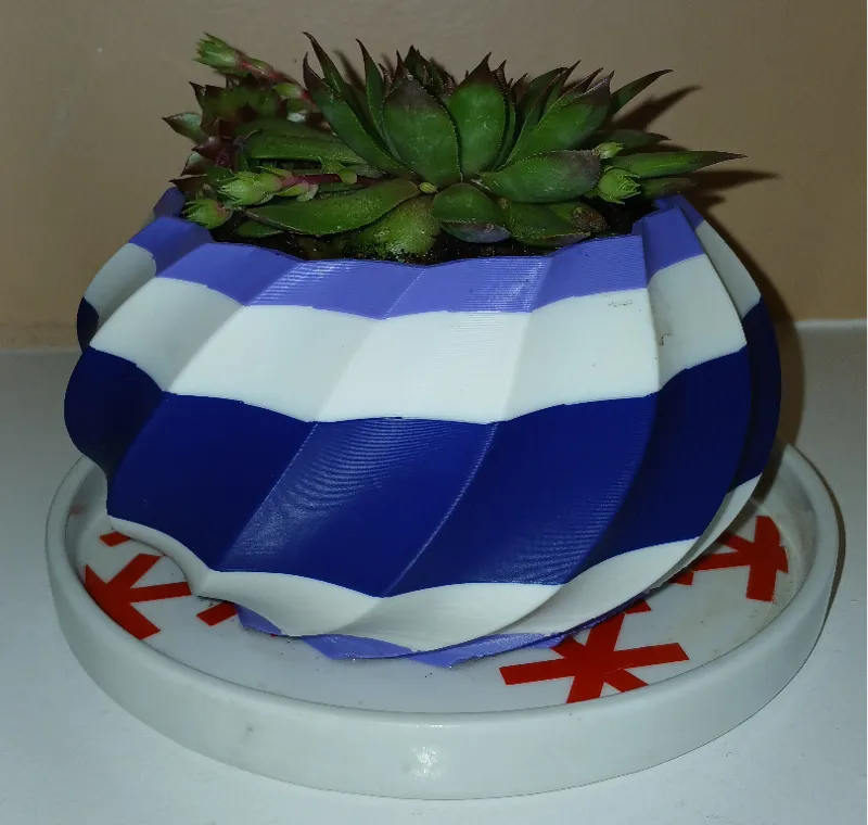 Modern Succulant Plant Pot 