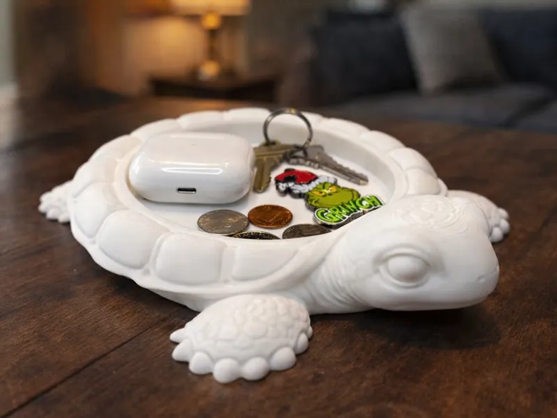 Turtle Tray