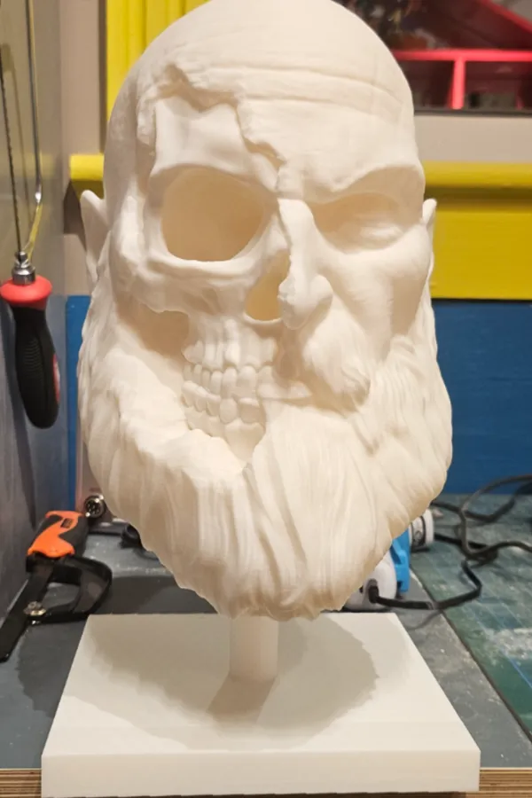 https://makerworld.bblmw.com/makerworld/model/US8db37b8d2be1bb/design/2024-09-03_38ef039e24127.jpg