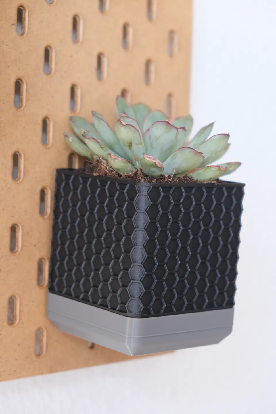 SkadisBloom Wall Planters view 2