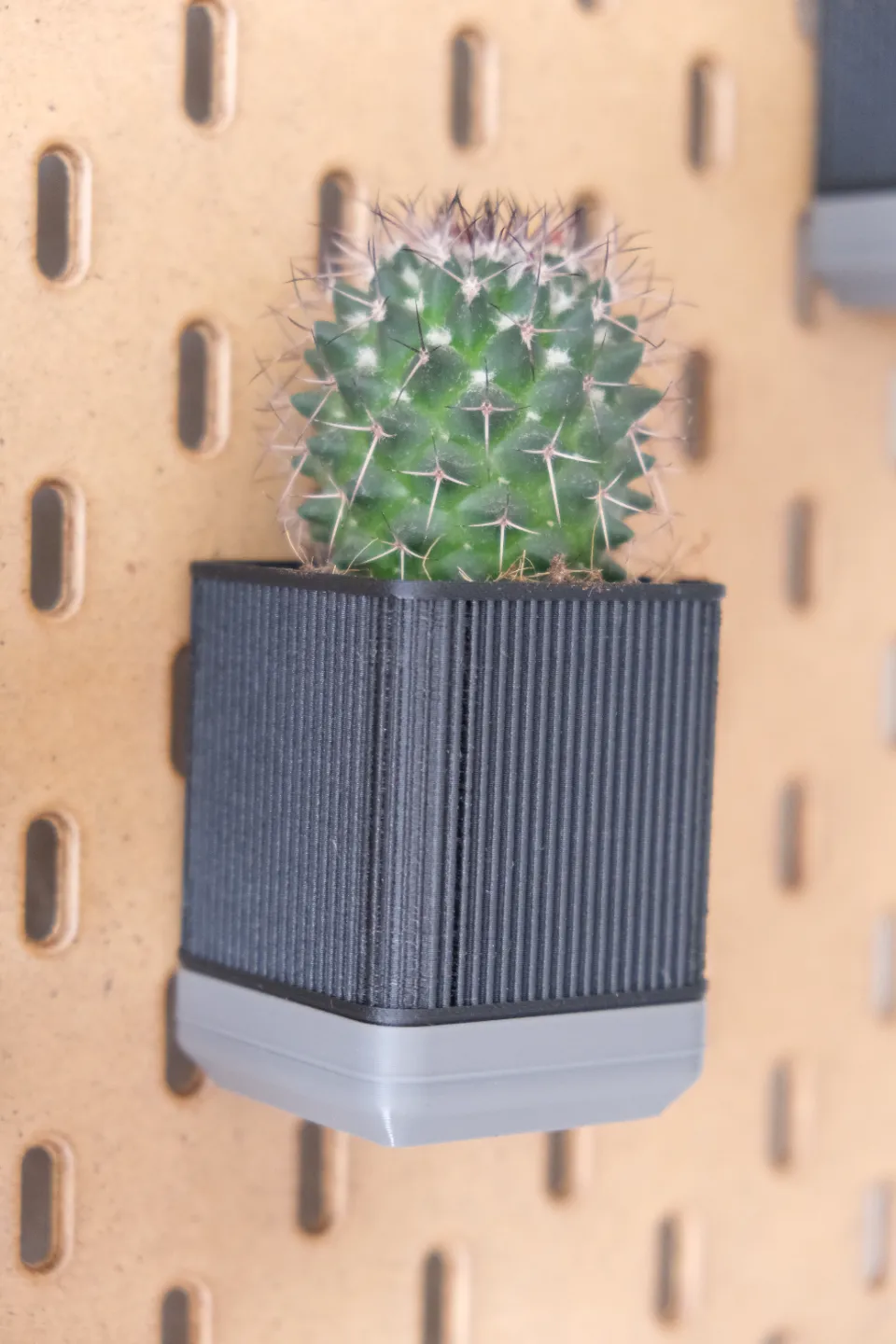 SkadisBloom Wall Planters view 3