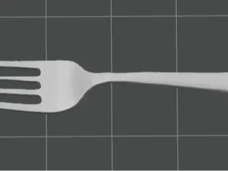 Fork