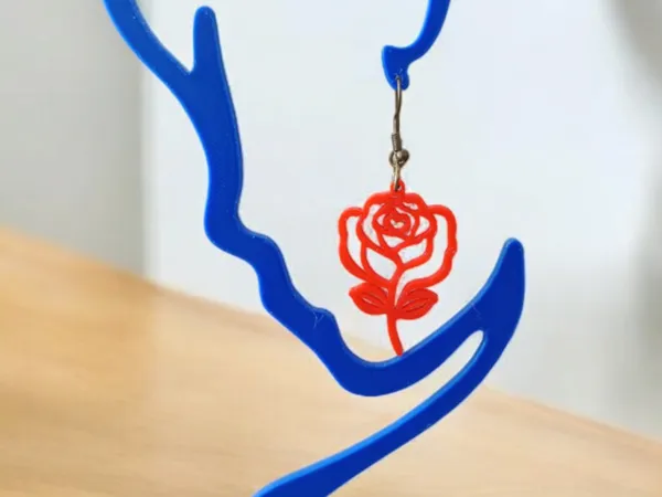 https://makerworld.bblmw.com/makerworld/model/US8db53bb11d946a/design/2025-01-09_d309f33fcde48.png