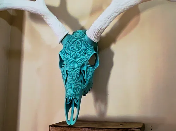 https://makerworld.bblmw.com/makerworld/model/US8db7834eb50916/design/2025-12-24_602e459b11a9b.jpg