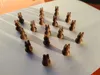 50 Rabbits