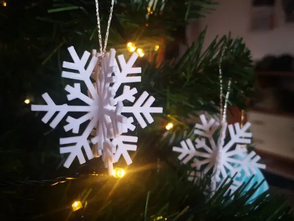 https://makerworld.bblmw.com/makerworld/model/US8dbc85e3df0d8/design/2024-12-05_5420e81e6be83.png