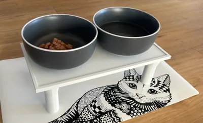 Cat food stand