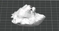 Tête de lion low poly — photo 3