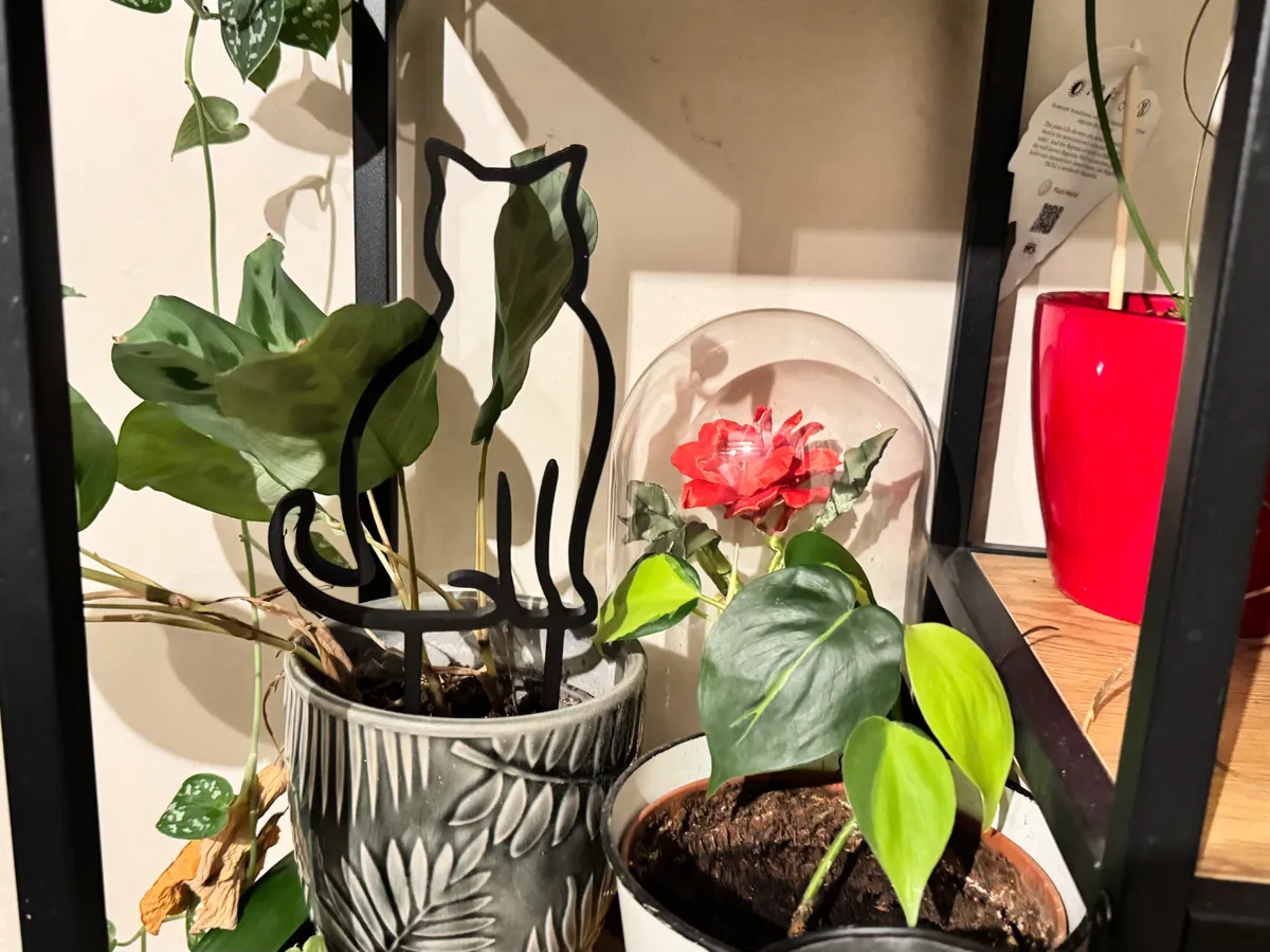 Tuteur de plante silhouette chat