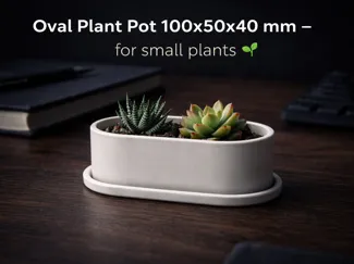 Modern Oval Planter – Minimal Desk Greenery