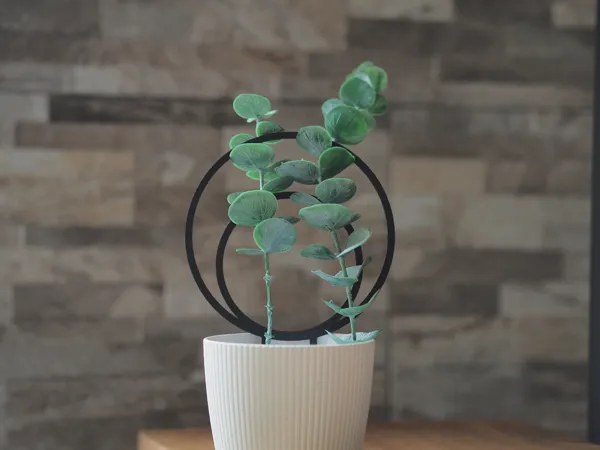 https://makerworld.bblmw.com/makerworld/model/US8dc89fc5214c57/design/2025-01-19_774db316569b6.jpg