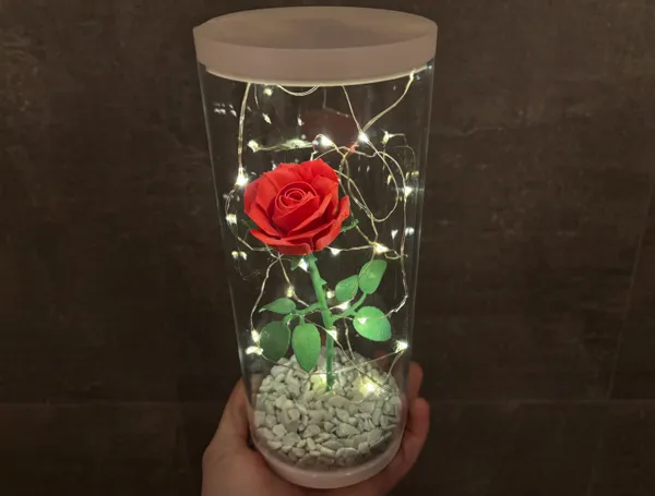 https://makerworld.bblmw.com/makerworld/model/US8dd0cb999ae560/design/2025-01-16_c2d18b545159.jpg