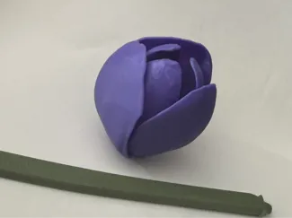 Realistic tulip