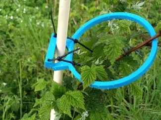 Support potager pied de tomate framboisier