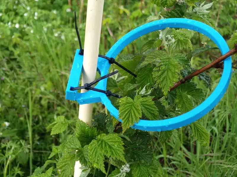 Support potager pied de tomate framboisier