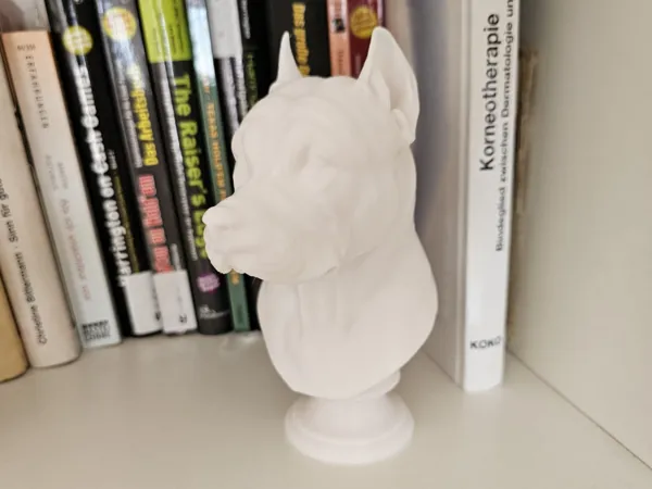 https://makerworld.bblmw.com/makerworld/model/US8de1091101b91a/design/2025-04-08_b641e71a8d9.jpg