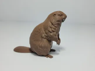 Realistic Beaver