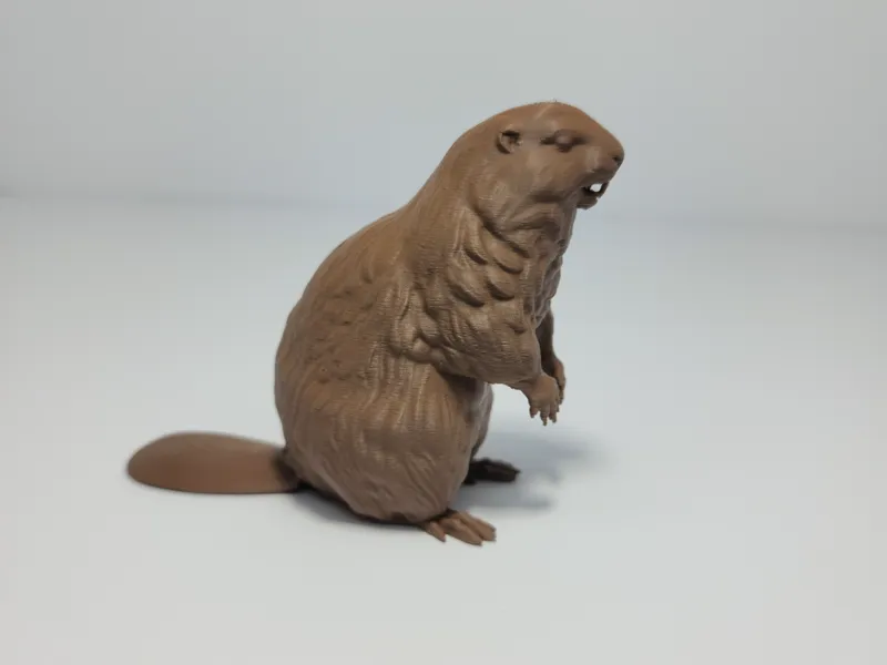 Realistic Beaver