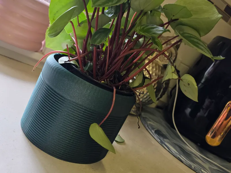 Planter