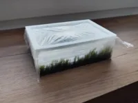 0.28mm layer, 3 walls, transparent PETG