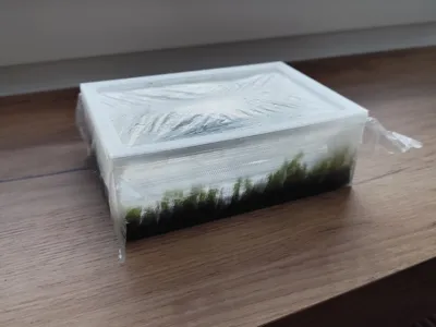 Aquarium plant box greenhouse