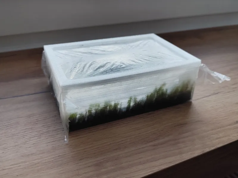 Aquarium plant box greenhouse