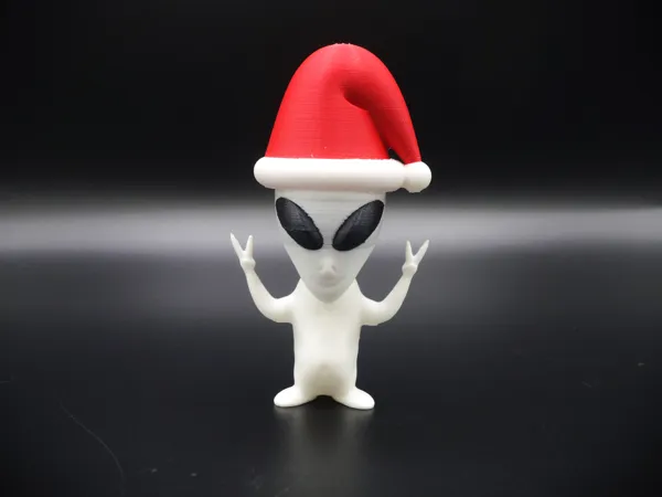 https://makerworld.bblmw.com/makerworld/model/US8df49c617d789e/design/2024-11-11_628071e5bf073.jpg