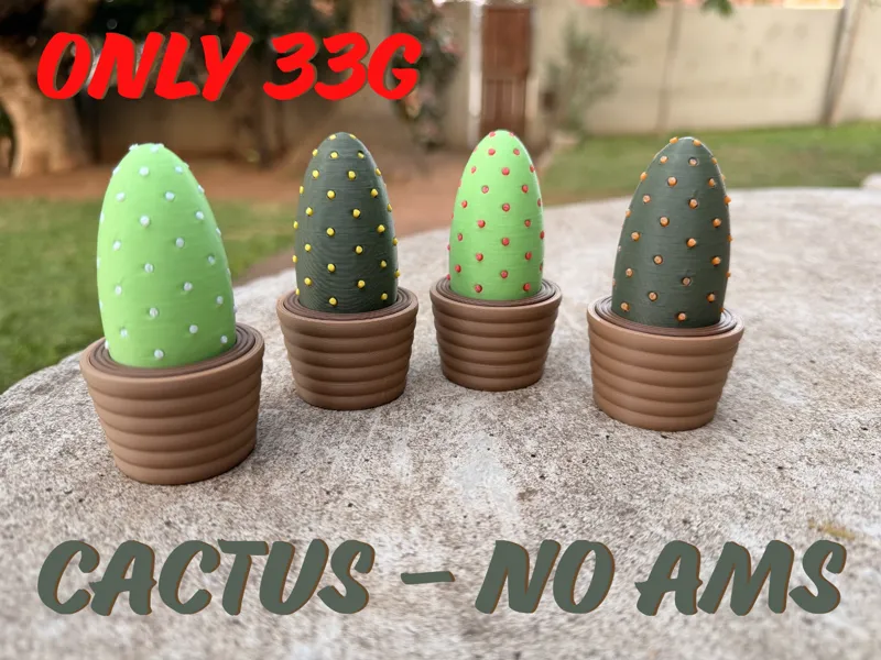 CACTUS - NO AMS