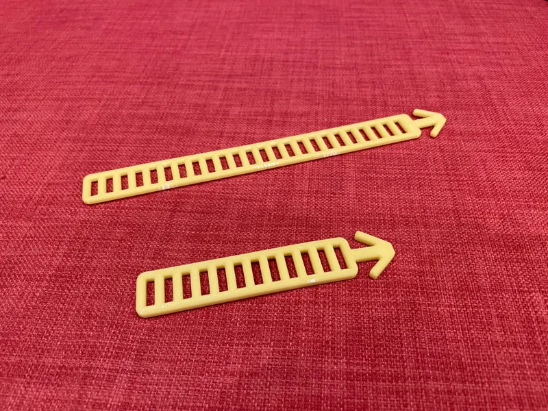 Strap Buddy — The Adventure Strap You’ll Love!