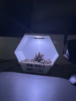 0.16mm layer, 3 walls, 10% infill